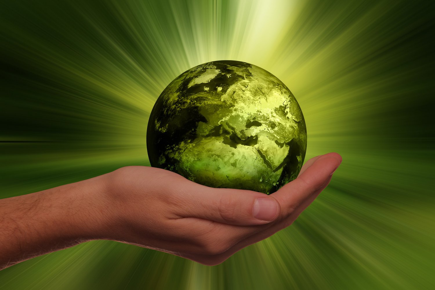 Nbt Agro - Sustainable Agriculture